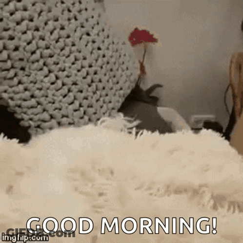 Dog Laying On Blanket Saying Good Morning GIF