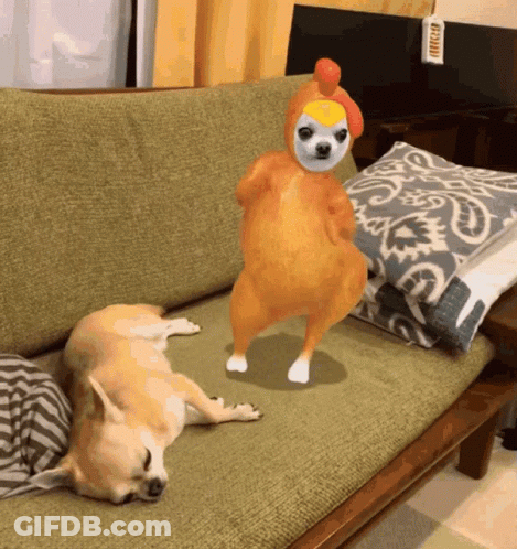 Dog Laying On Couch Next To Chicken Costume GIF