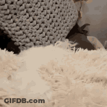 Dog Laying On Fluffy White Rug Next To Knitted Ottoman GIF