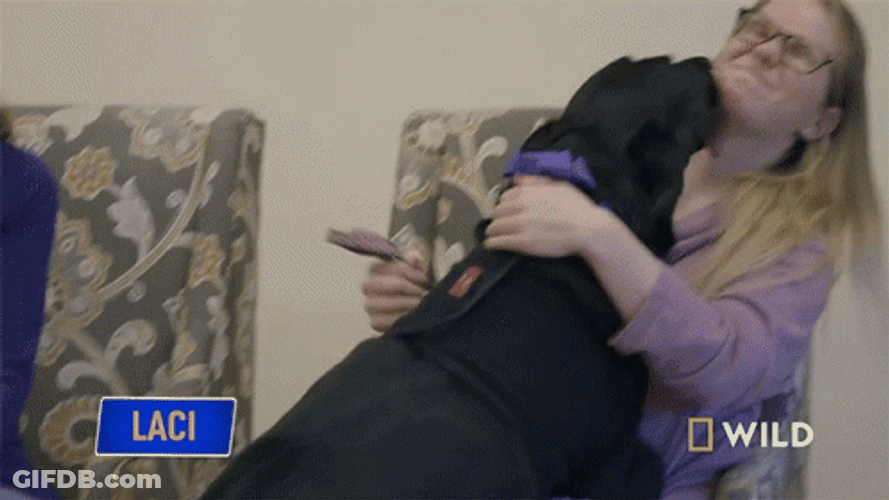 Dog Licking Butter On Human Face GIF