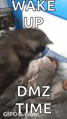 Dog Licking Child's Face In Bed GIF