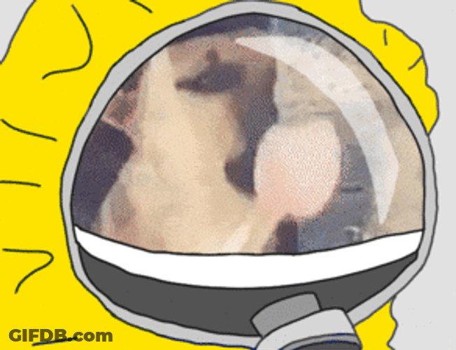 Dog Licking Hazmat Suit Meme GIF