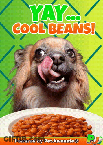 Dog Licking Nose Next To Beans GIF