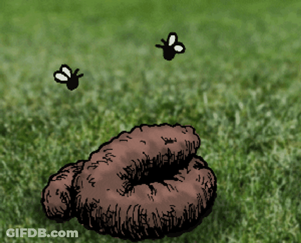 Dog Licking Poop On The Ground GIF
