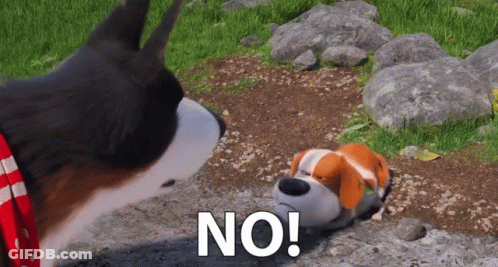 Dog Looking At Another Dog Saying No GIF