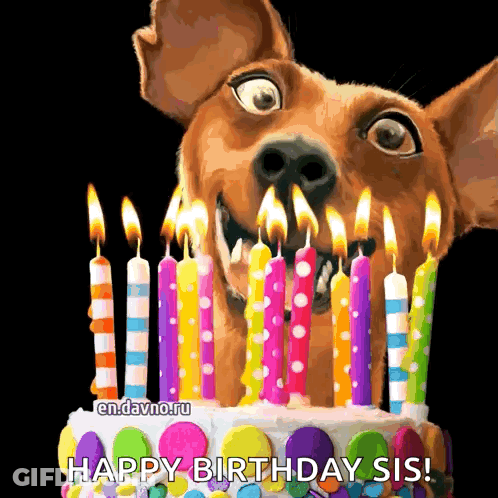Dog Looking At Birthday Cake With Candles GIF