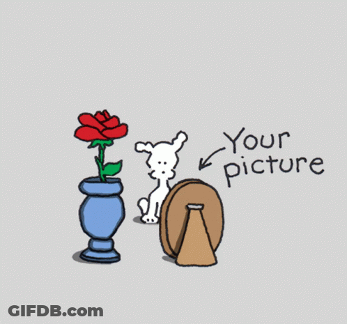 Dog Looking At Picture Frame Saying Your Picture GIF