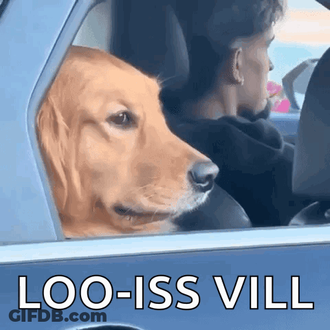 Dog Looking Out Car Window Saying Loo-Iss Vill GIF