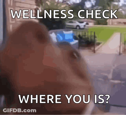 Dog Looking Out Window Saying Wellness Check Where You GIF