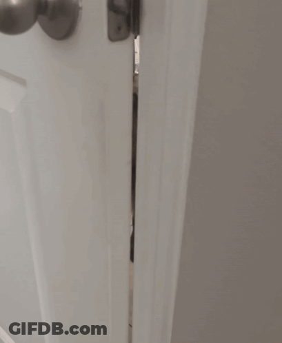 Dog Looking Through Door With Bottle On Cart GIF