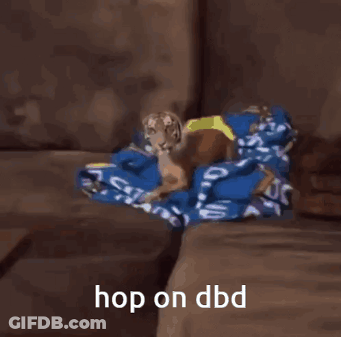 Dog Looks Like Tiger Hop On DBD GIF