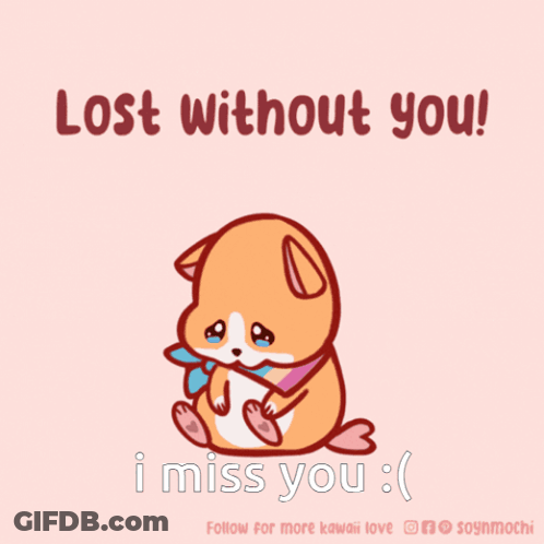 Dog Lost Without You I Miss You GIF