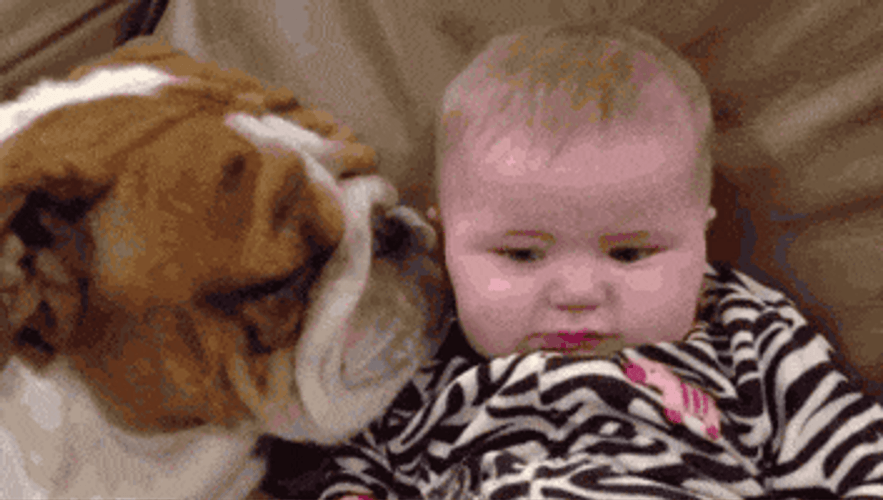 Dog Love Kisses GIF