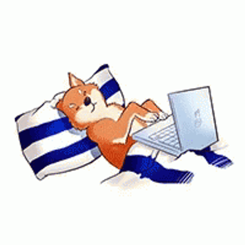 Dog  Lying Bed Typing Laptop GIF