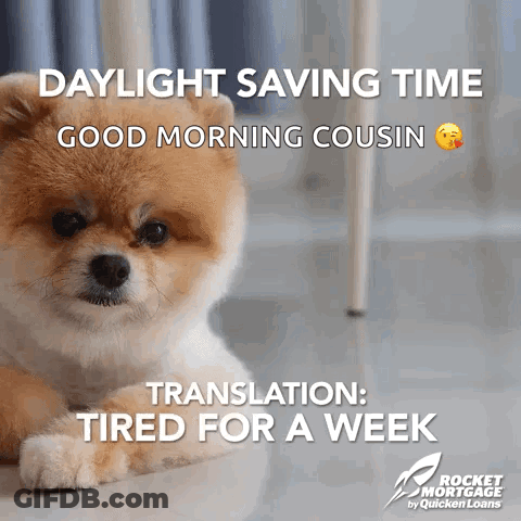 Dog Lying Down With Daylight Saving Time GIF