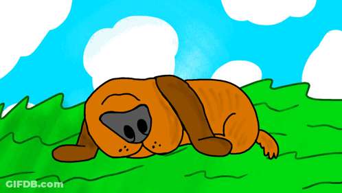 Dog Lying In Grass Under Blue Sky GIF