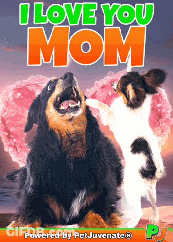 Dog Lying Next To Happy Mom Balloon GIF