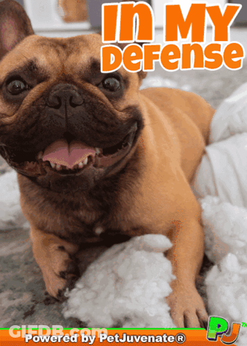 Dog Lying On Stuffed Animals In My Defense GIF
