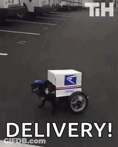 Dog Mailman Driving With Box On Back GIF