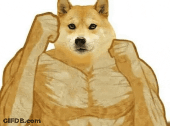 Dog Meme Big Body Fighter GIF