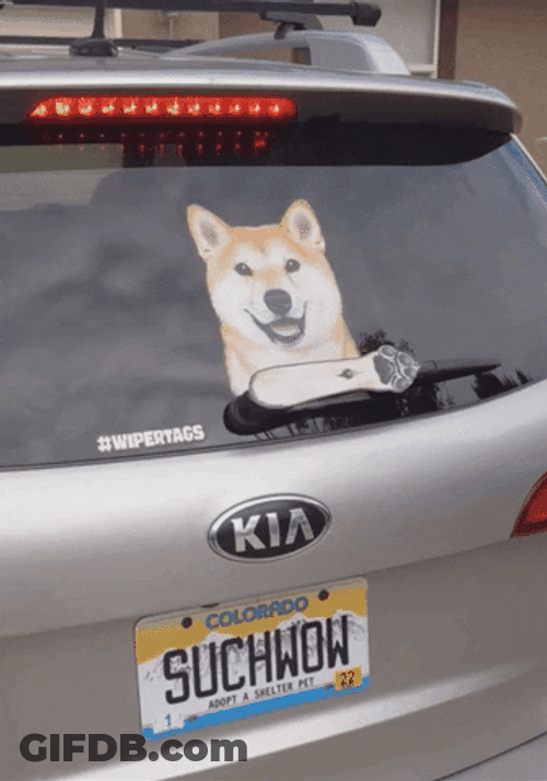 Dog Meme Car Wiper GIF