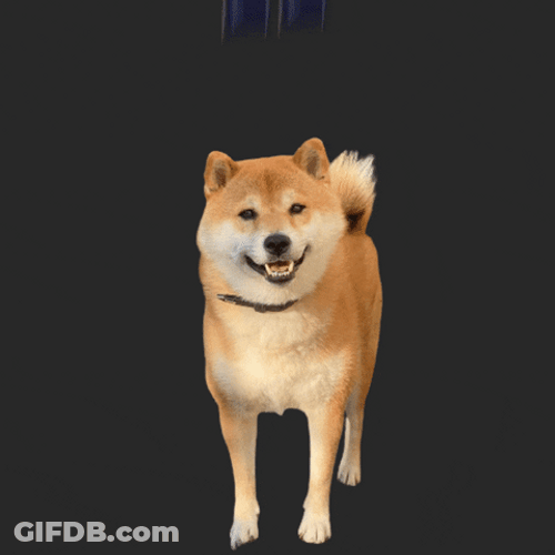 Dog Meme Smiling Face Pose GIF