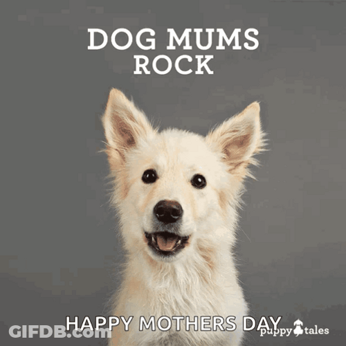 Dog Moms Rock Happy Dog Mother's Day GIF