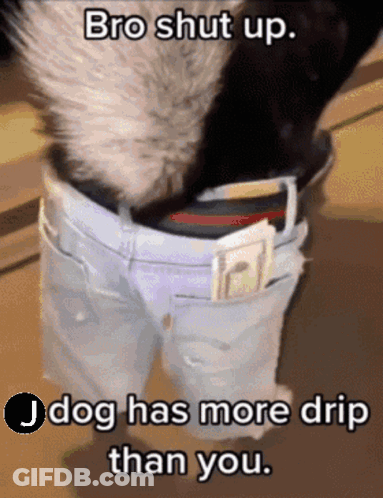 Dog Money Belt Bro Shut Up J Dog More Drip GIF