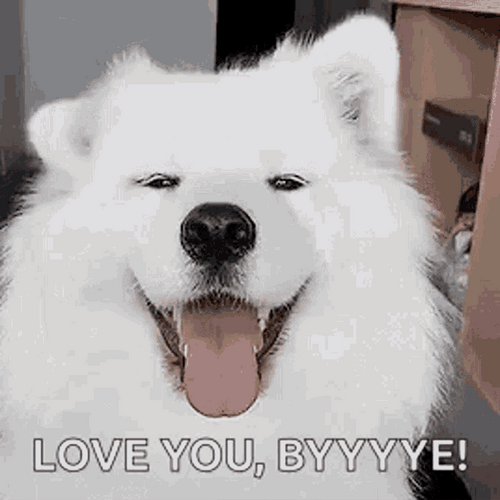 Dog Moving Ears I Love You Funny GIF