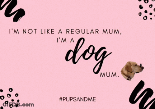 Dog Mum Saying Not Like Regular Mum GIF