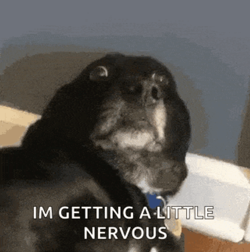 Dog Nervous GIF