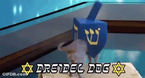 Dog Next To Blue Dreidel Dreidel Dog GIF