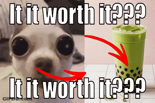 Dog Next To Green Drink Saying Worth It GIF