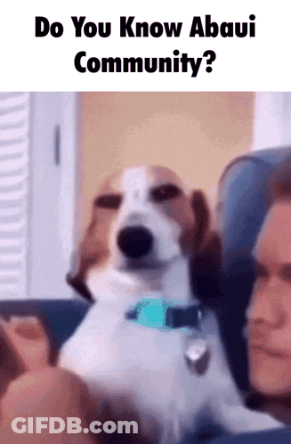 Dog Next To Man On Couch Saying Do You Know Abaui Community GIF