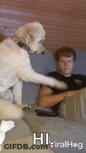 Dog Next To Man On Couch Saying Hi Viralhog GIF