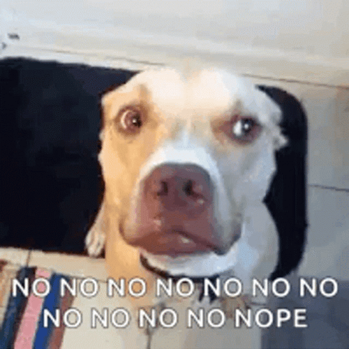 Dog No Nope GIF