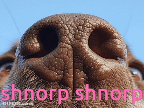 Dog Nose With Pink Shnorp Shnorp GIF