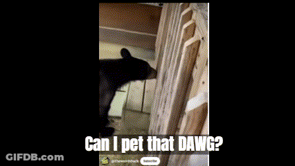 Dog On Balcony Saying Can I Pet That Dawg GIF