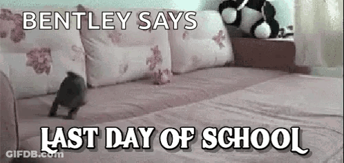 Dog On Bed Bentley Says Last Day Of School GIF