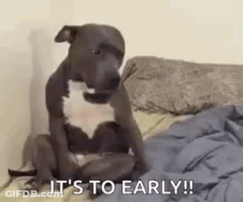 Dog On Bed Says It's Too Early GIF