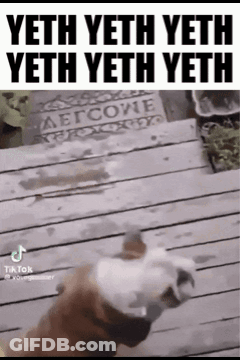 Dog On Deck With Welcome Sign GIF