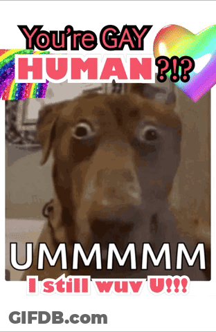 Dog On Dirt Road Who Let The Dogs Out GIF
