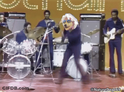 Dog On Drum Set Nature Doge69 GIF