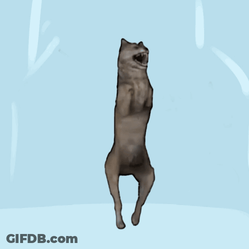 Dog On Hind Legs Mouth Open GIF