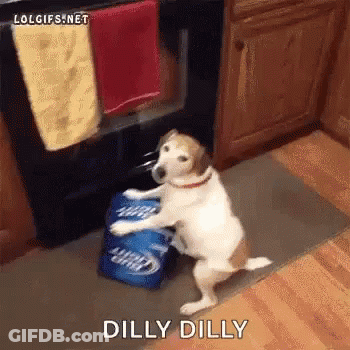 Dog On Hind Legs With Bud Light Beer Cans GIF