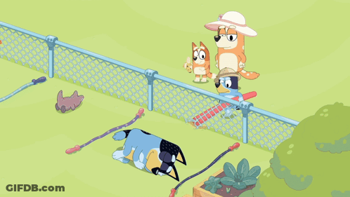Dog On Leash In Yard GIF