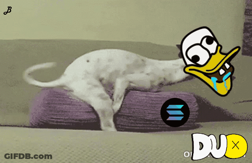 Dog On Purple Pillow Next To Duck With Duo GIF