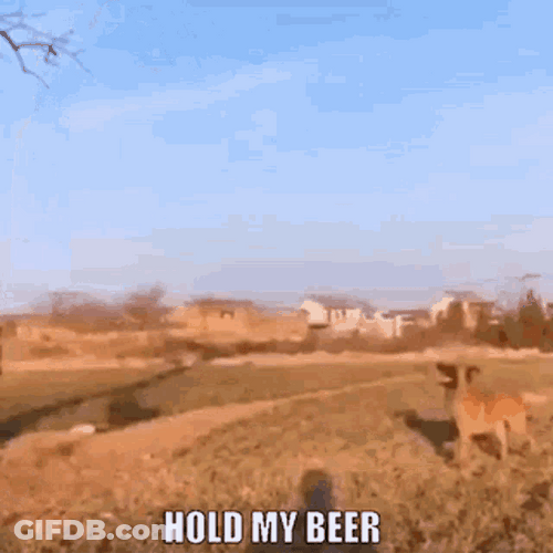 Dog Parkour Hold My Beer Meme GIF