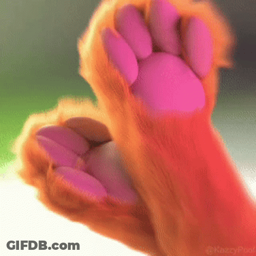 Dog Paw With Pink Nails GIF