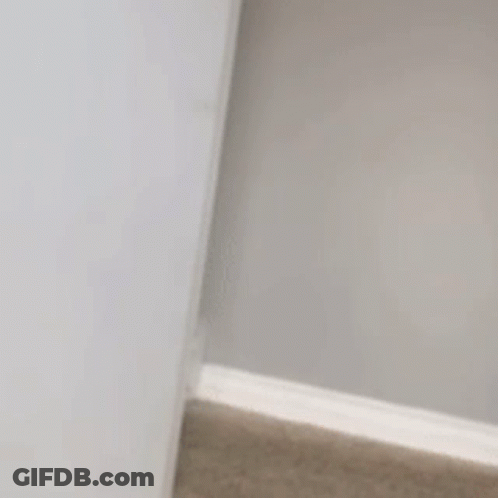 Dog Peeking From Behind Wall GIF